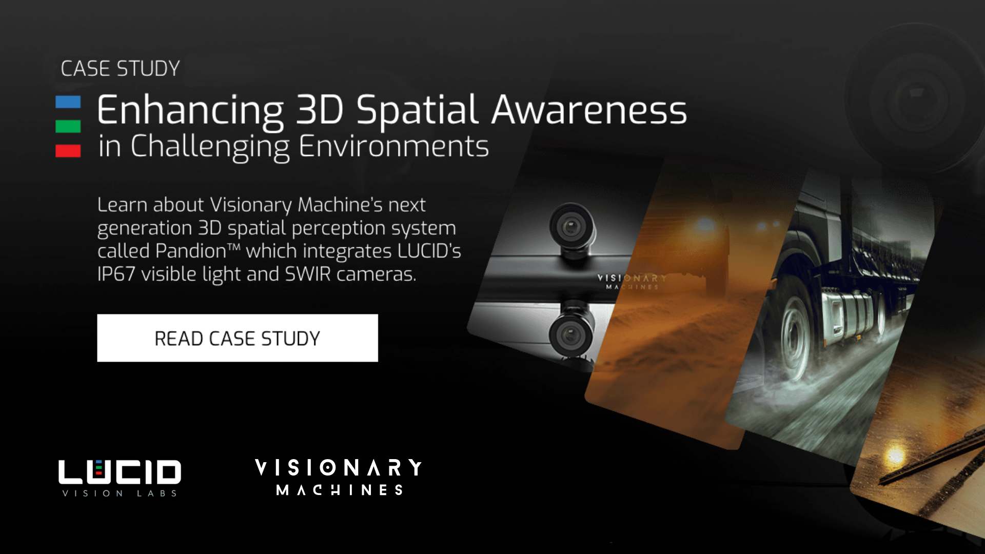 Visionary Machines and Lucid Vision Systems Case Study